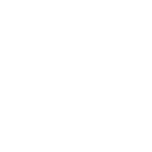 Partner 06